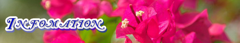 インフォメーション
